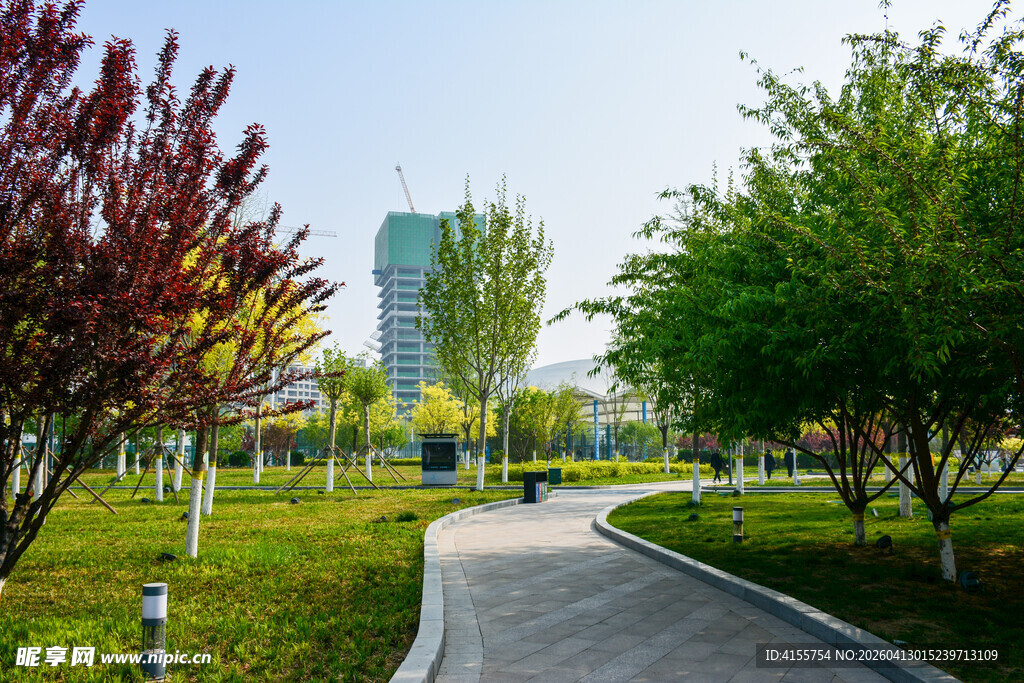 城市公园中的林荫小径