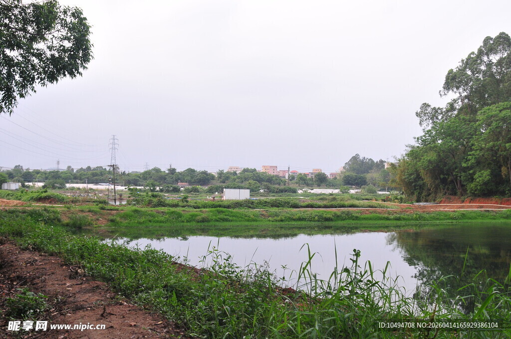乡村田野中的宁静池塘