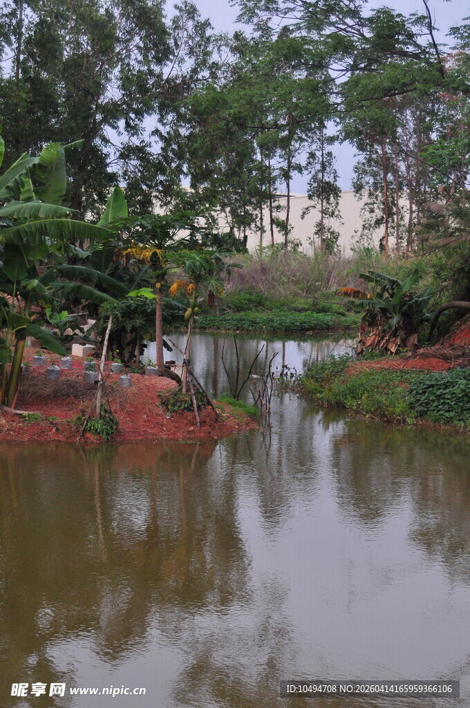 宁静河畔绿植环绕景观