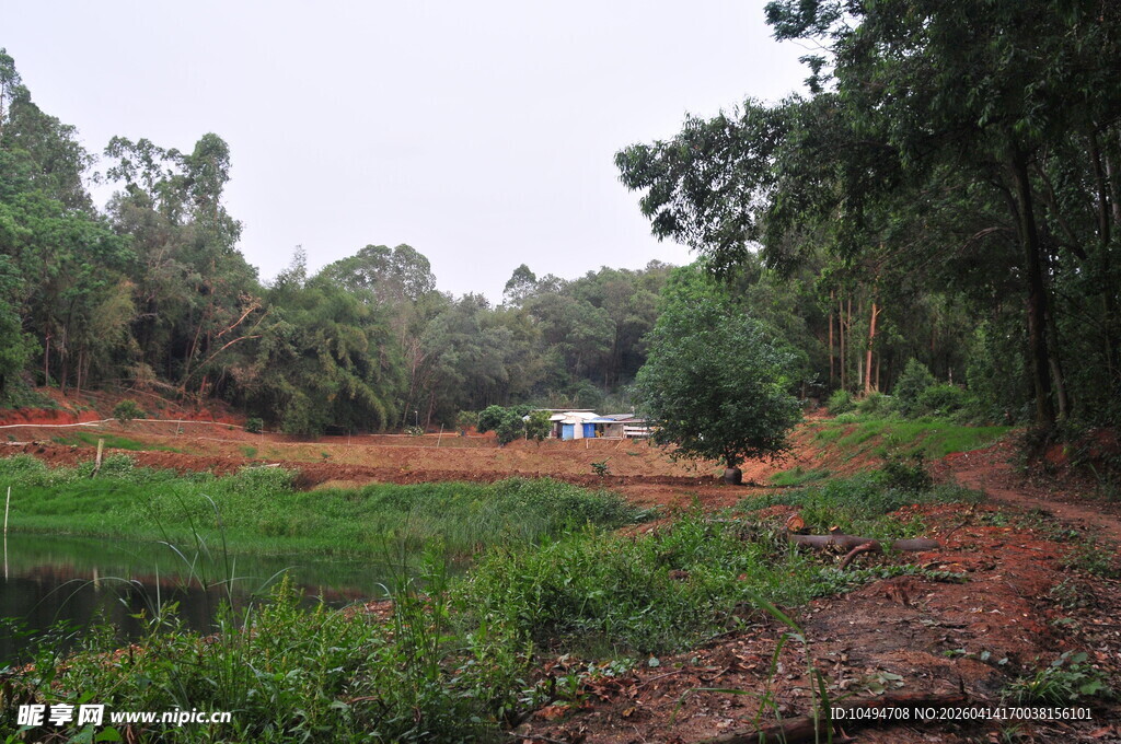 乡村田野中的绿色自然景观