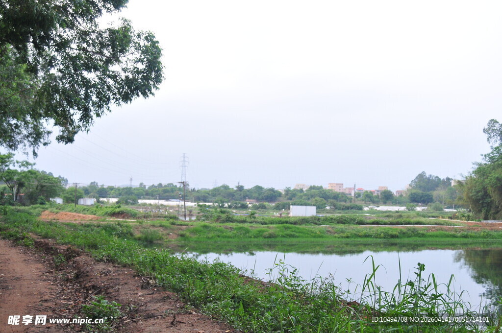 乡村田野间的宁静水景