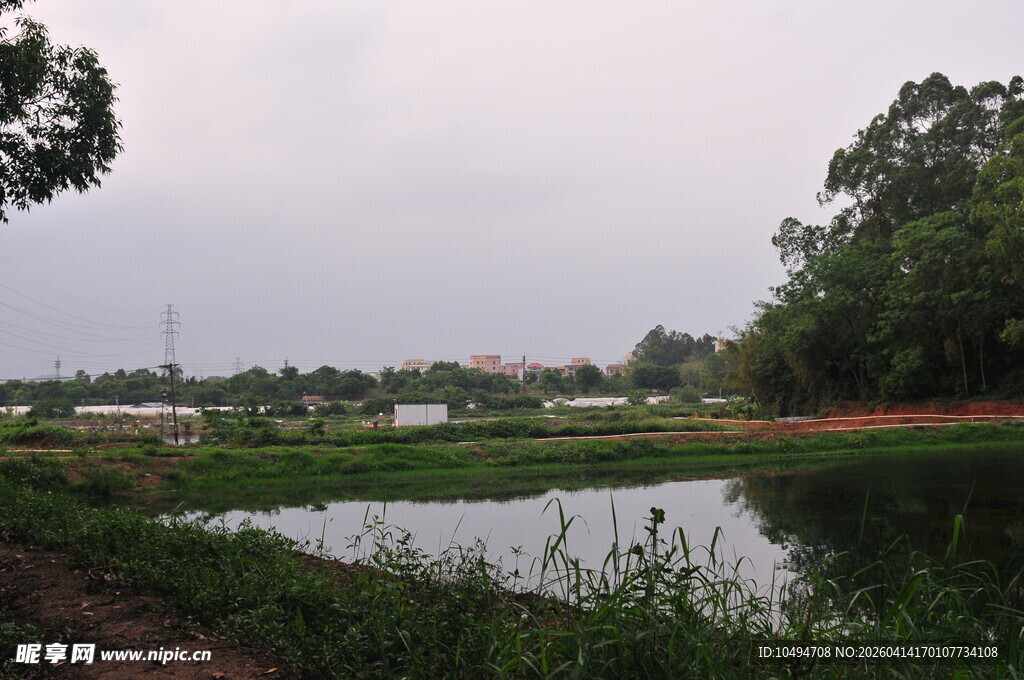 乡村静谧池塘风光