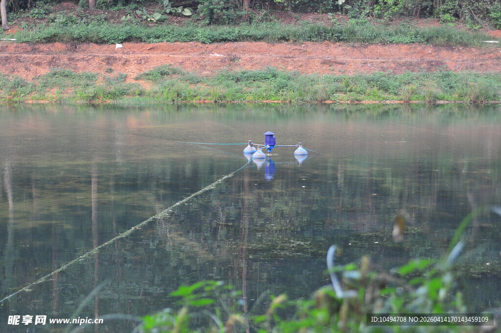 湖畔双鸟静立赏景