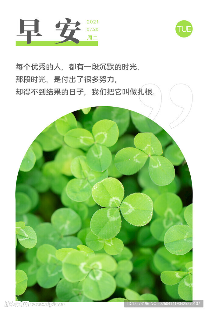 早安绿植图