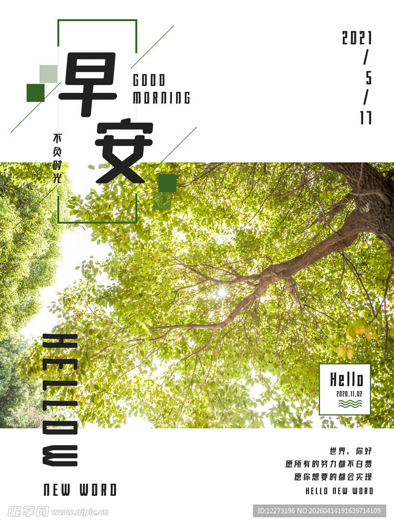早安林间美景