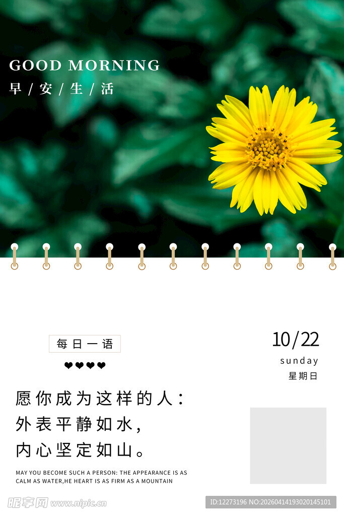 黄色雏菊日历页
