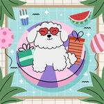 可爱小狗享受夏日派对