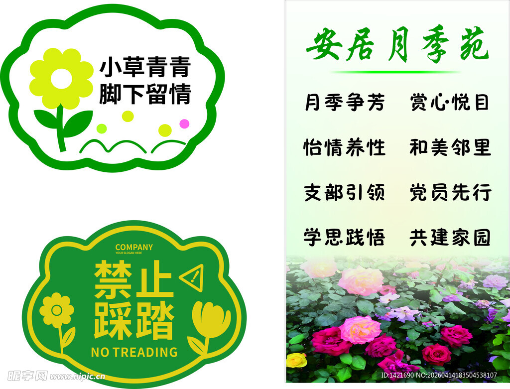 宣传栏  月季花