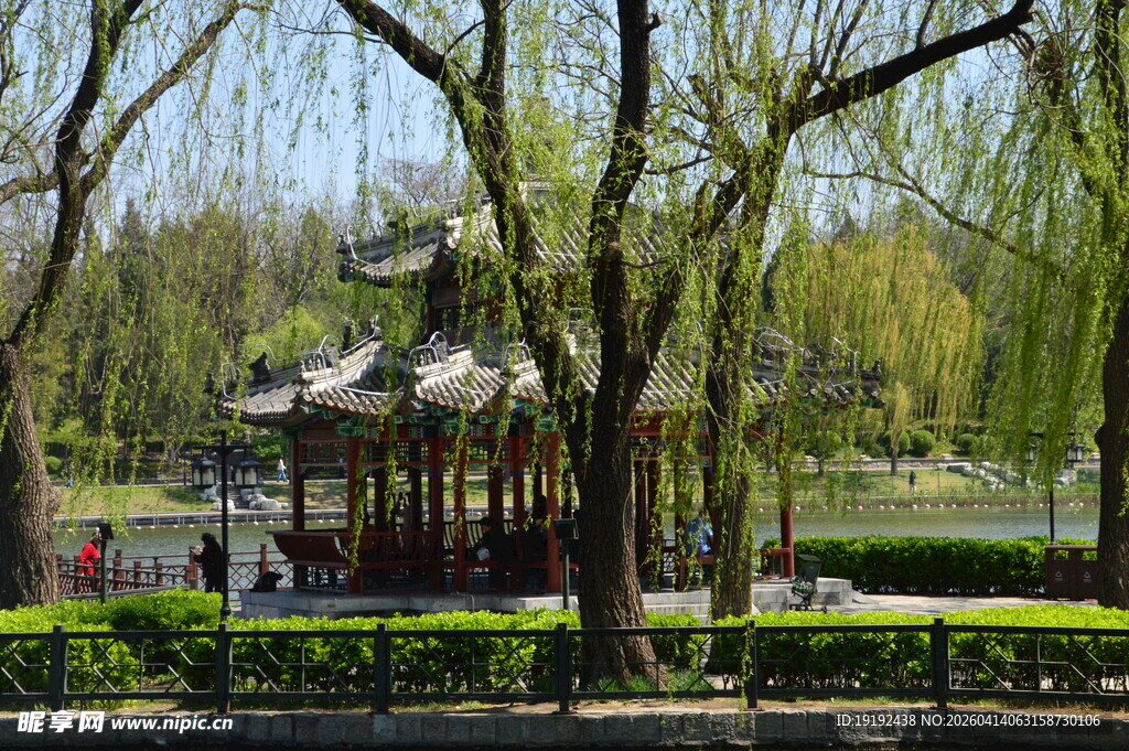 公园风景 