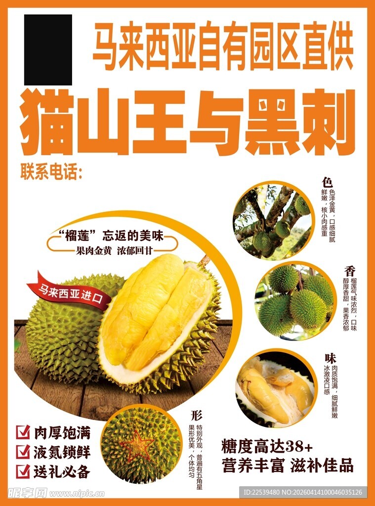 猫山王榴莲与黑刺榴莲