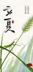 立夏海报