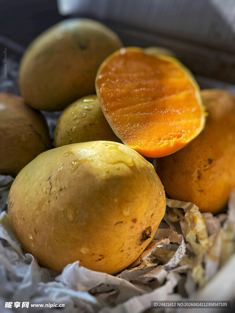 新鲜黄心芒果堆叠展示