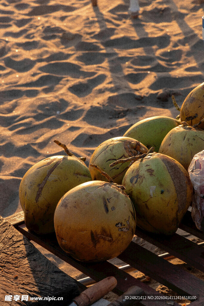 沙滩上的新鲜椰子