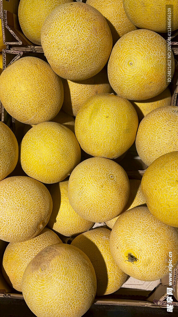 新鲜黄皮水果满满一筐