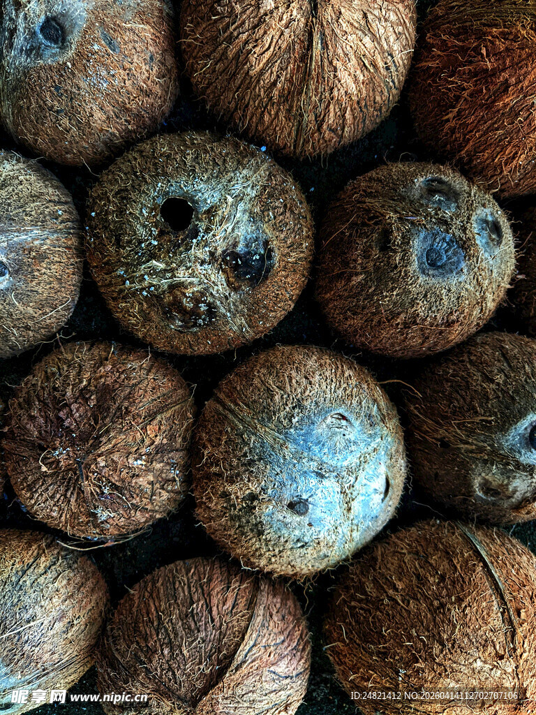 一堆新鲜椰子特写