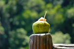 木桩上的创意青苹果饮品