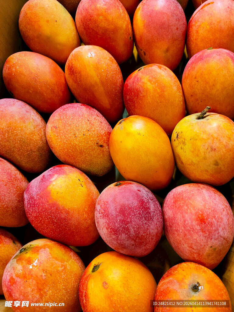 新鲜多彩的成熟柿子