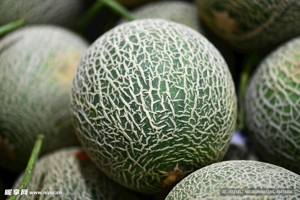 新鲜网纹蜜瓜堆叠