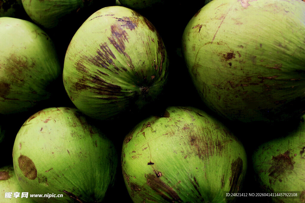 青皮椰子堆叠特写