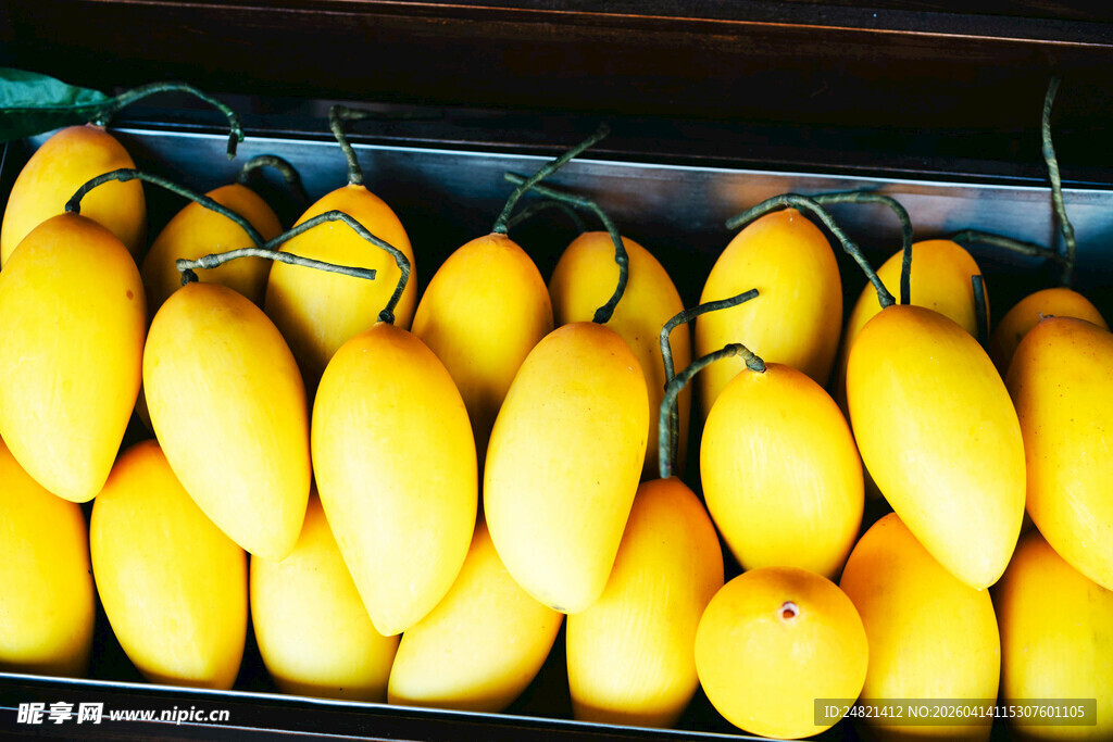 新鲜黄芒果整齐排列