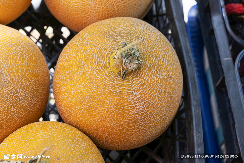 新鲜南瓜堆放在篮中