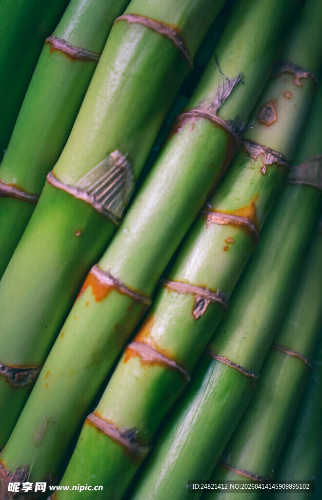 鲜嫩翠绿的青皮甘蔗