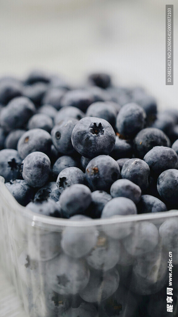 新鲜蓝莓装于透明容器中
