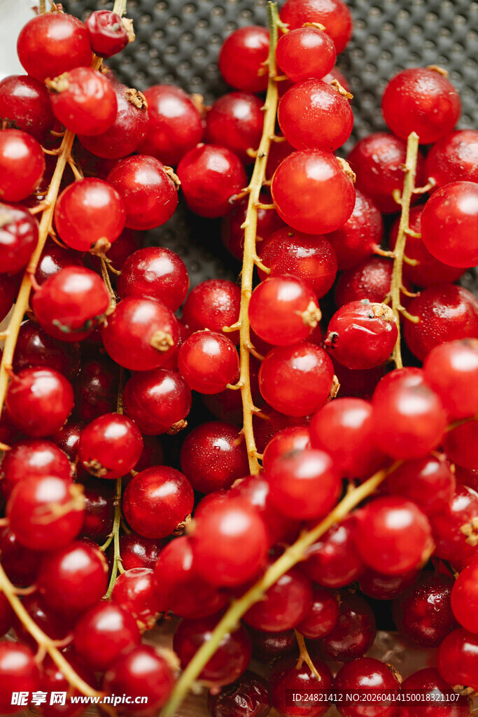 饱满红醋栗果实特写