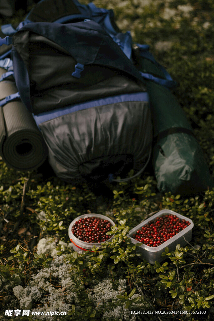 户外露营装备与食物摆放