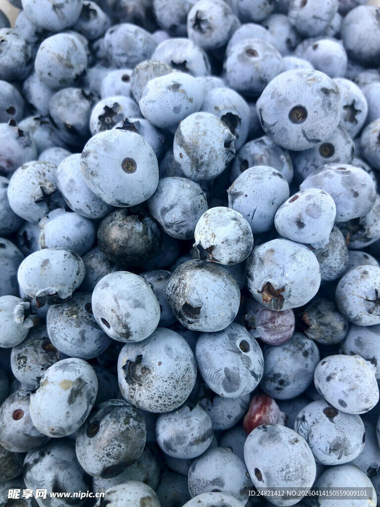 饱满蓝莓堆成诱人景象