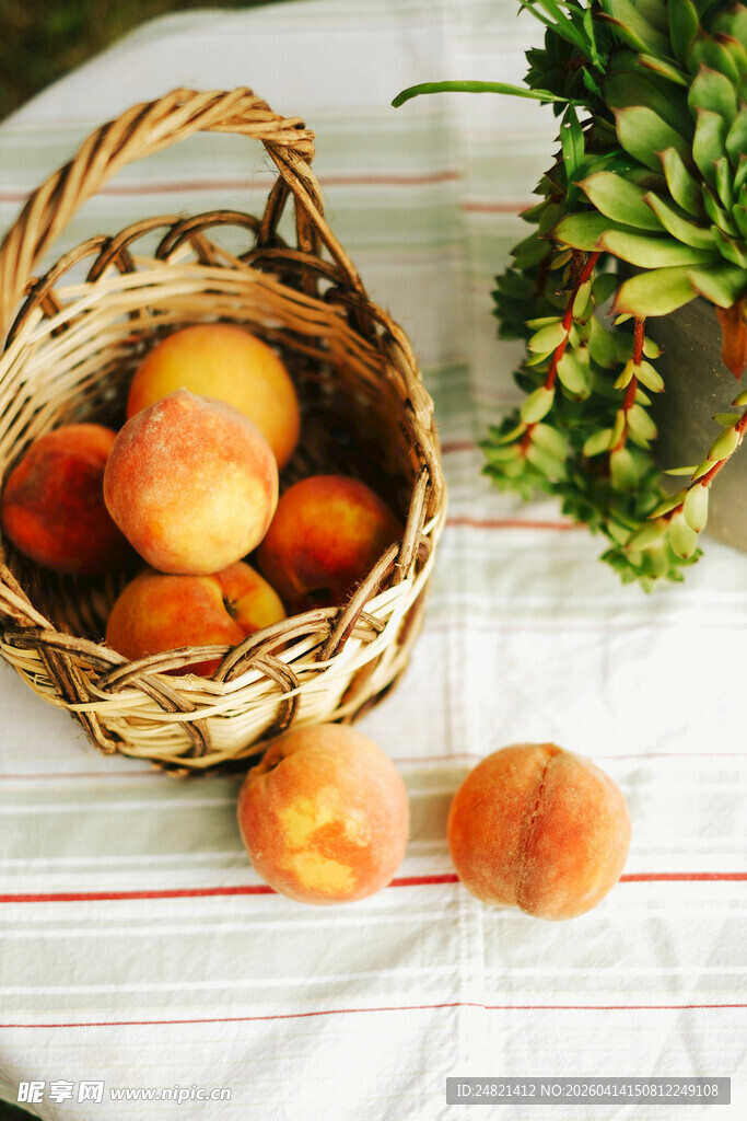 篮子里的新鲜桃子与绿植