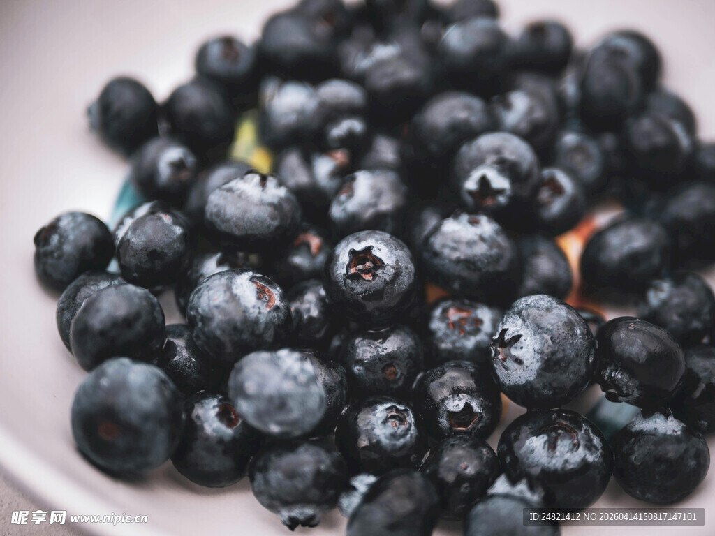 新鲜饱满的蓝莓