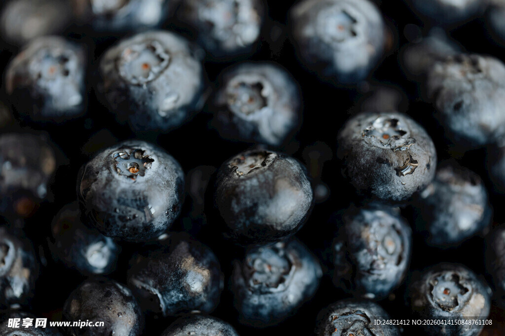 饱满蓝莓