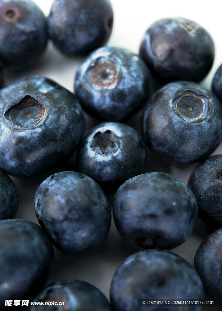 新鲜饱满的蓝莓