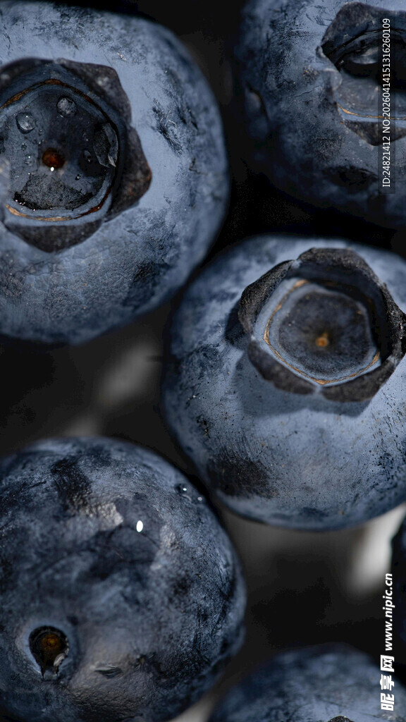 新鲜饱满的蓝莓