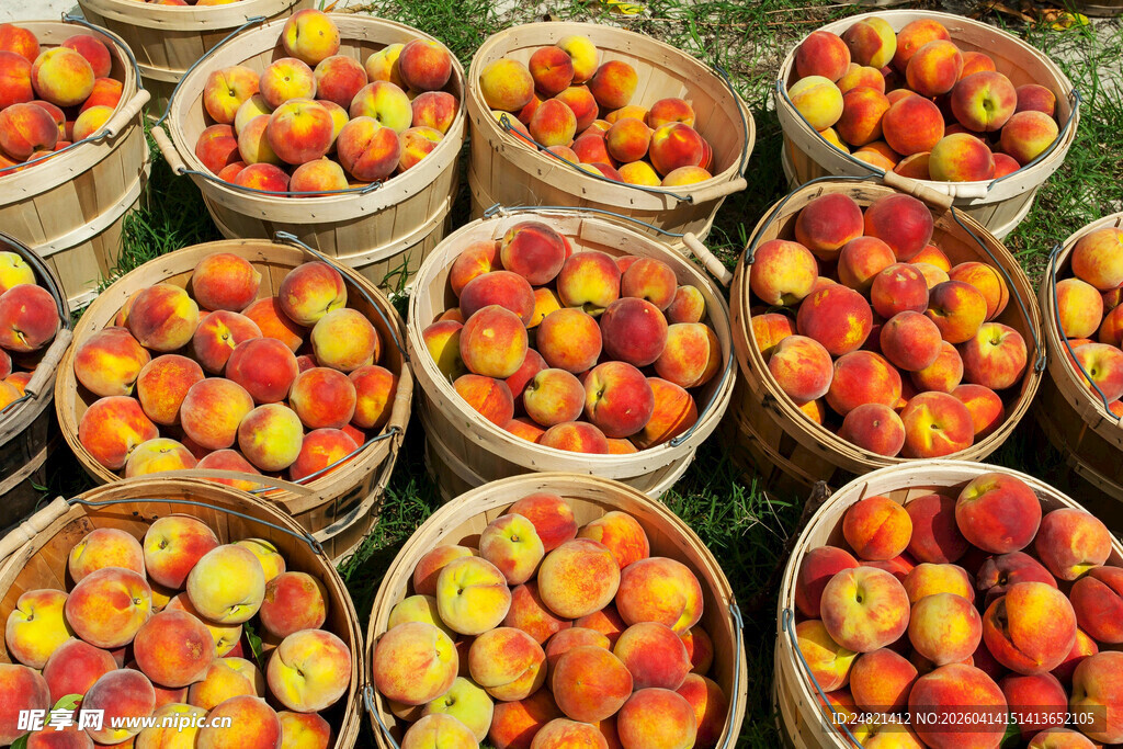 木筐盛放的多彩新鲜水果