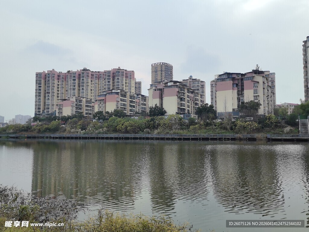 湖畔高楼林立的城市景致