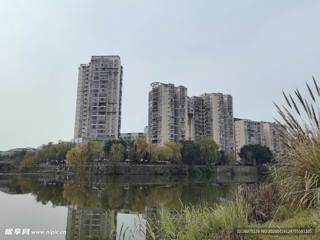湖畔高楼林立的城市风光