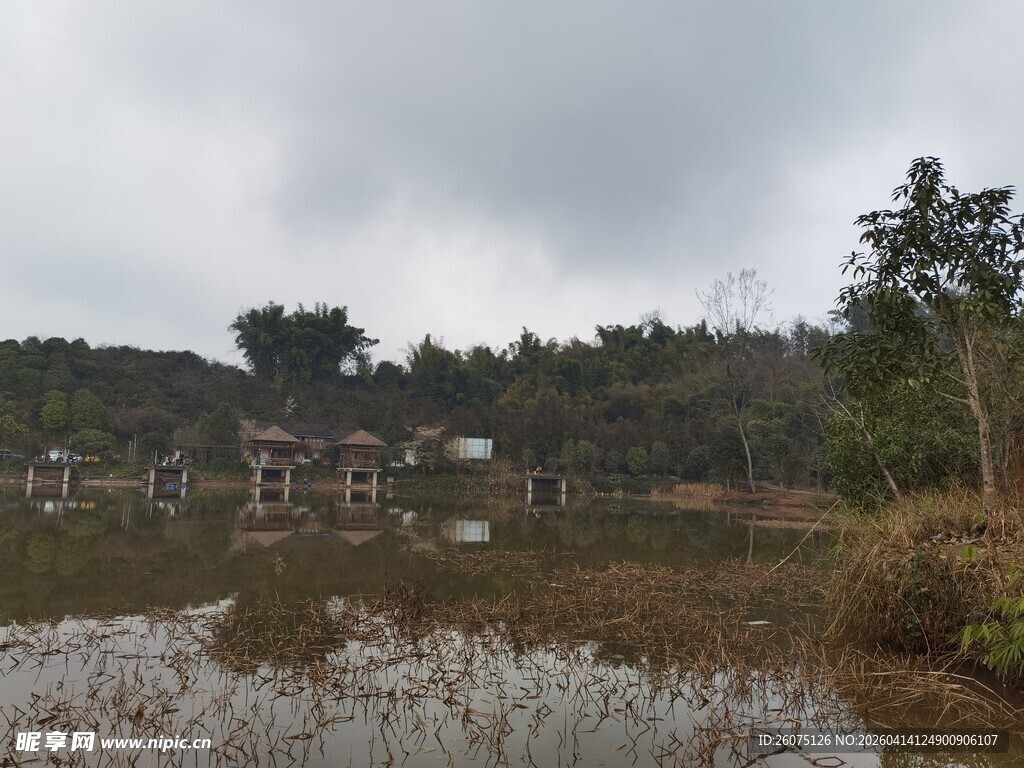 乡村水田与远处屋舍景象