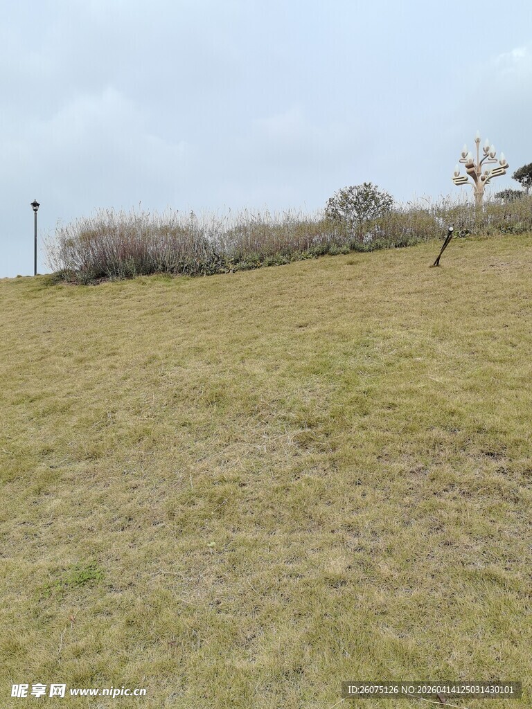 开阔草地与远处景物