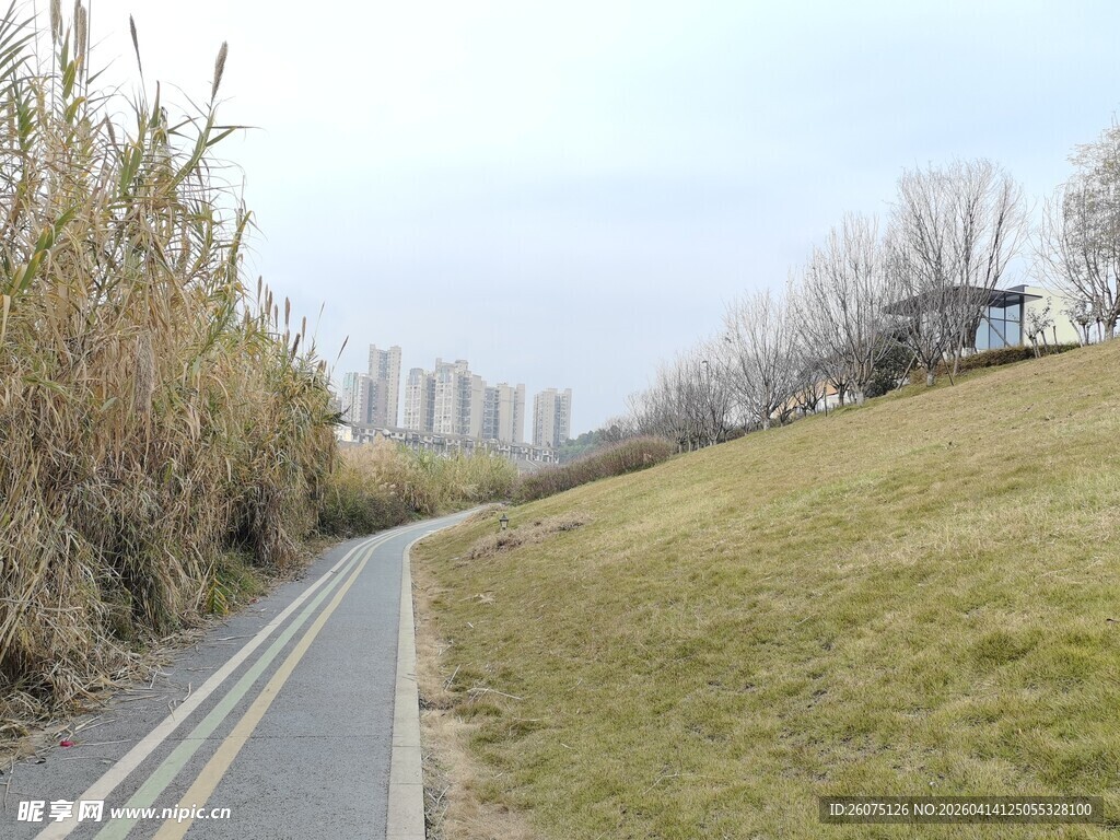郊外蜿蜒自行车道风景