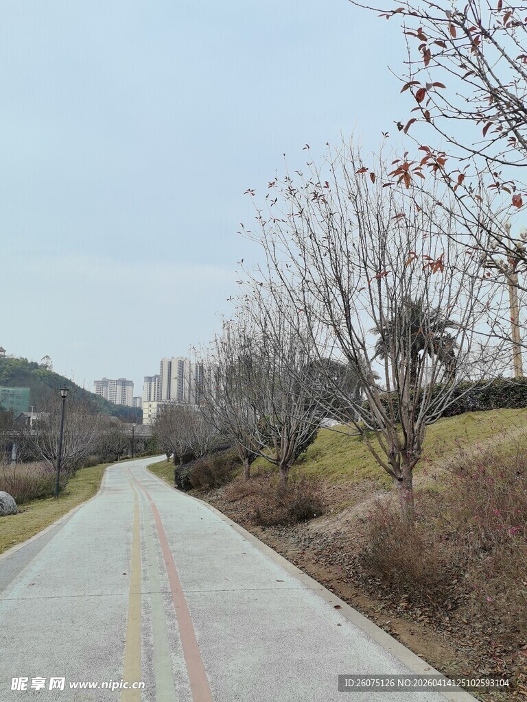 乡村空旷平坦的水泥道路