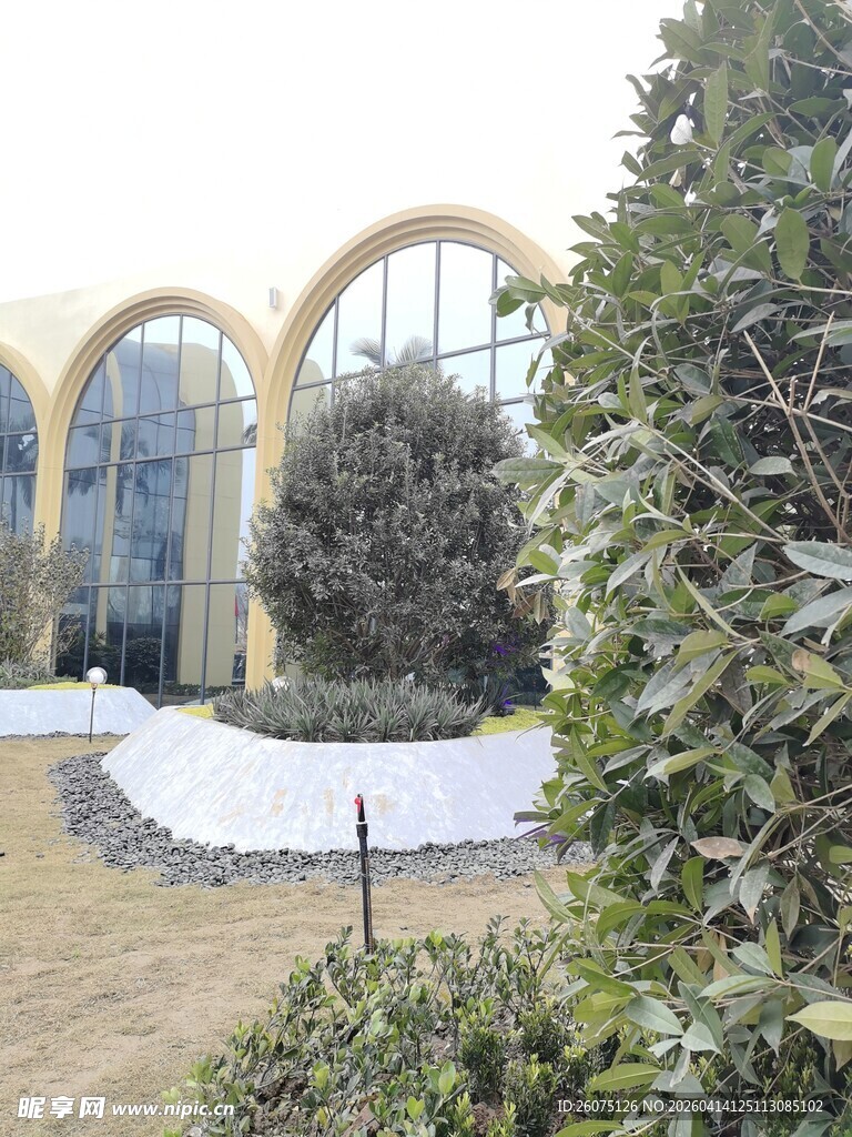 庭院中的拱形建筑与绿植