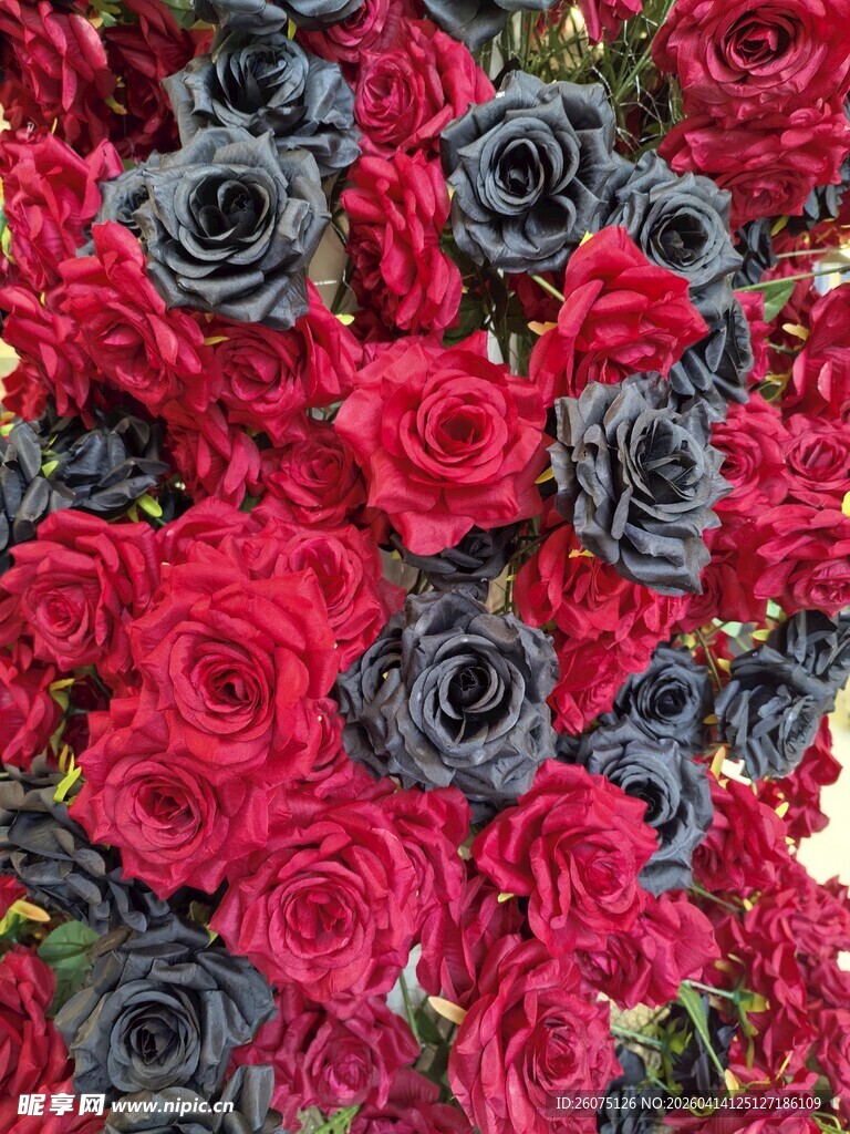 红黑玫瑰交织的绚丽花簇