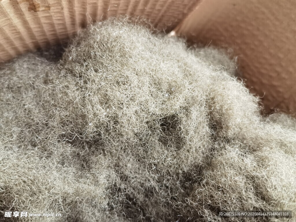 蓬松棉絮特写