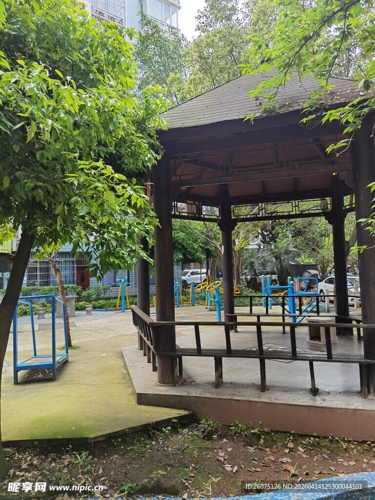 公园中的凉亭与绿植景观