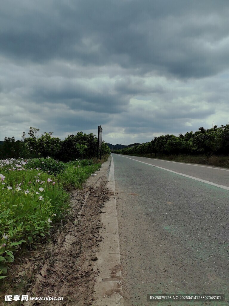 乡村公路乌云下的静谧风景