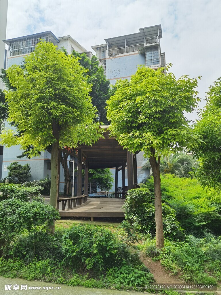 小区中的绿荫凉亭景观