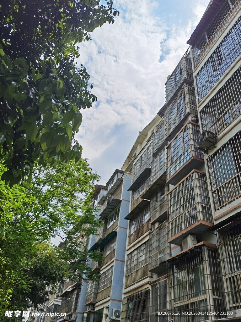 老旧居民楼与周边绿树