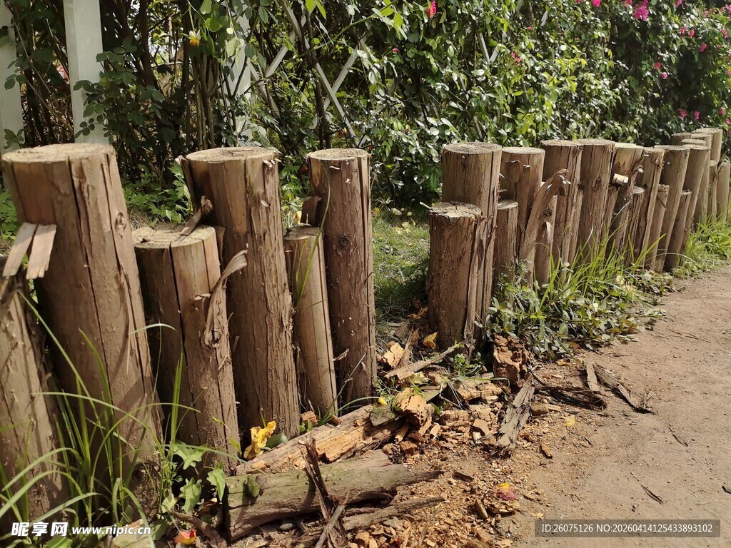 木桩围栏自然质朴景致